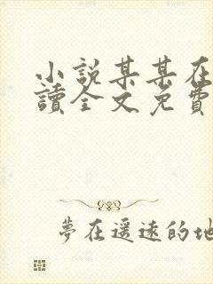 小说某某在线阅读全文免费