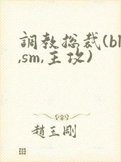 调教总裁(bl,sm,主攻)