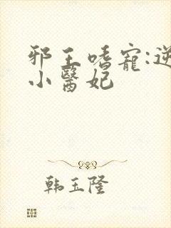 邪王嗜宠:逆天小医妃