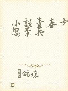 小说青春少年沈思李兵