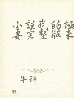 小说我的极品娇妻完整版未删减小说