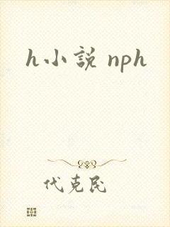 h小说 nph封面