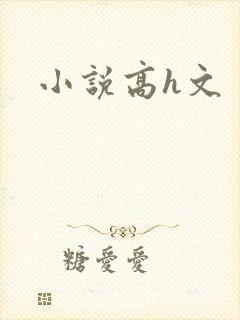 小说高h文