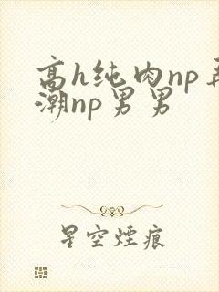 高h纯肉np弄潮np男男