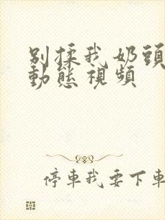 别揉我奶头嗯啊动态视频封面