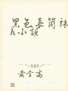 黑色长筒袜校花h小说封面