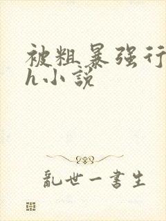 被粗暴强行玩弄h小说