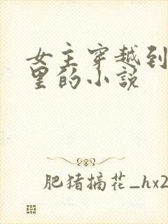 女主穿越到小说里的小说