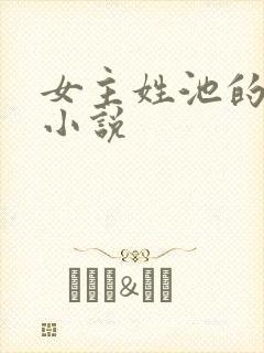 女主姓池的现代小说封面