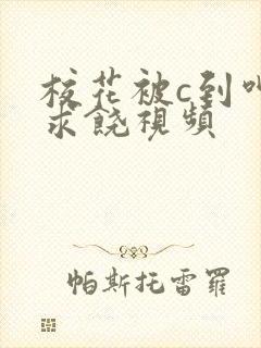 校花被c到呻吟求饶视频