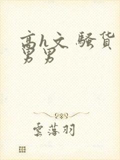 高h文 骚货 男男