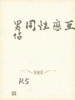 男同性恋互艹网站