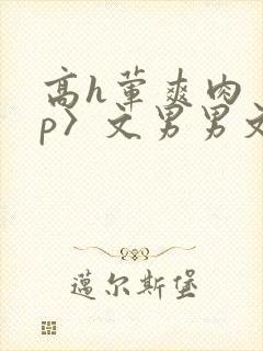 高h荤爽肉〈np〉文男男文