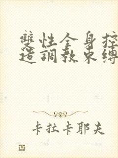 双性全身控制改造调教束缚小说封面