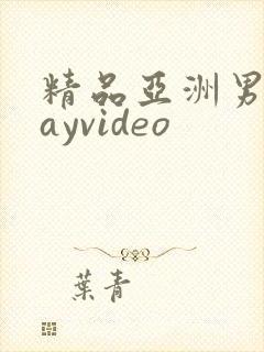 精品亚洲男同gayvideo