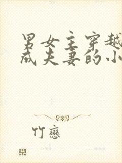 男女主穿越古代成夫妻的小说