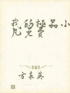 我的极品小姨叶凡免费