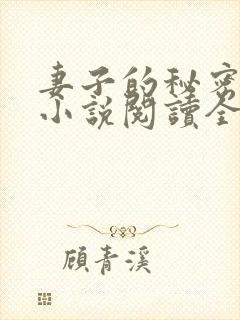 妻子的秘密吴双小说阅读全文