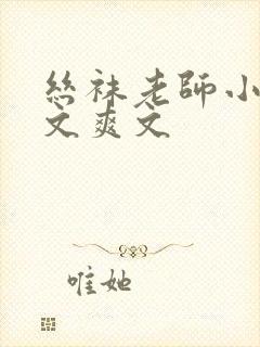 丝袜老师小说h文爽文封面