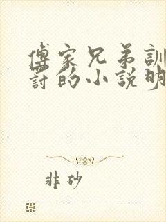 傅家兄弟训诫被罚的小说明龙封面