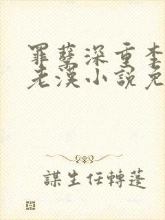 罪孽深重李茹王老汉小说免费全文