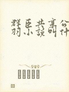 群臣共享公主银羽小说叫什么