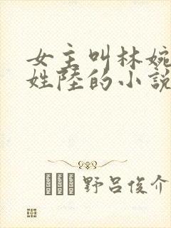 女主叫林婉男主姓陆的小说