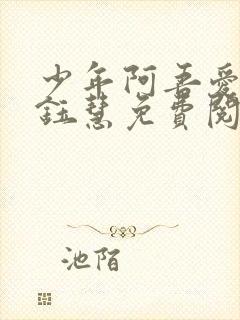 少年阿吾爱吾师钰慧免费阅读