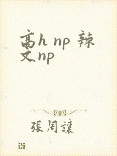 高h np 辣文np封面