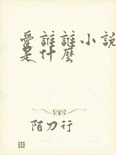 爱谁谁小说讲的是什么