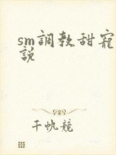 sm调教甜宠小说