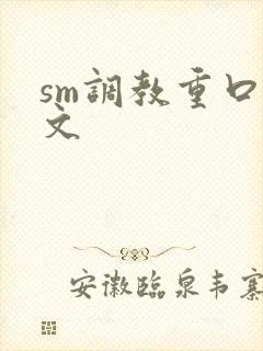 sm调教重口h文
