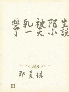 双乳被陌生人摸了一天小说