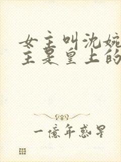 女主叫沈婉,男主是皇上的小说