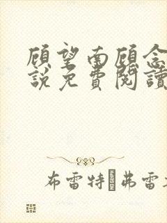 顾望南顾念北小说免费阅读最新章节