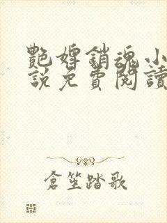 艳婢销魂小桃小说免费阅读