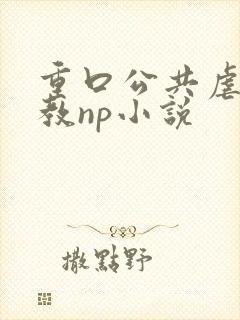 重口公共虐肉调教np小说封面