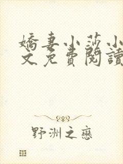 娇妻小莎小说全文免费阅读