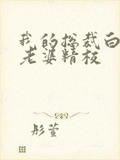 我的总裁白富美老婆精校