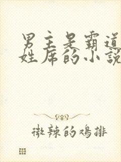 男主是霸道总裁姓席的小说封面