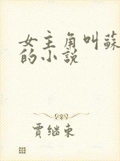 女主角叫苏若雪的小说