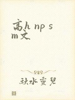高h np sm文