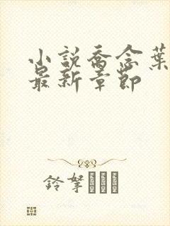 小说乔念叶妄川最新章节