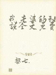 我老婆的秘密小说全文免费阅读封面