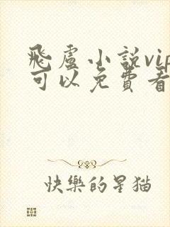 飞卢小说vip可以免费看吗封面