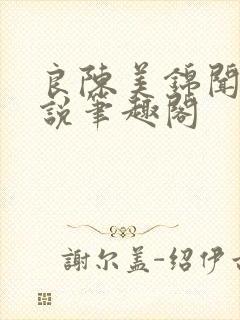 良陈美锦闻檀小说笔趣阁封面