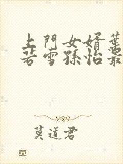 上门女婿叶辰夏若雪孙怡最新章节