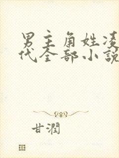 男主角姓凌的现代全部小说