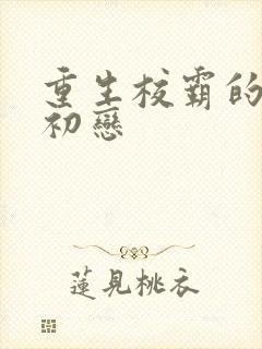 重生校霸的娇软初恋