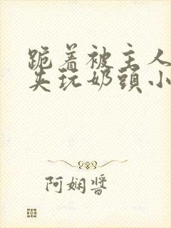 跪着被主人用乳夹玩奶头小说封面